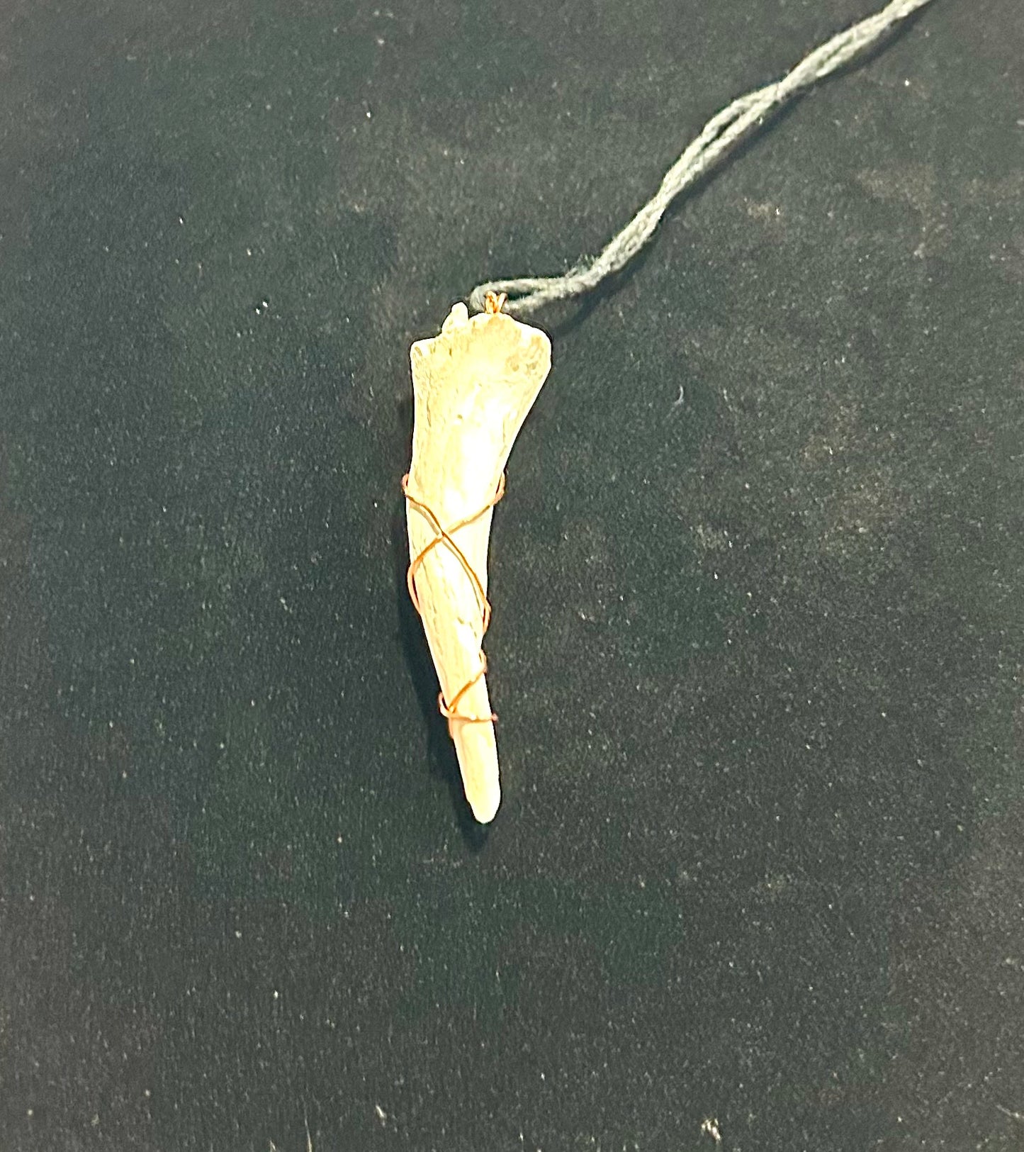 Conch Shell Center Necklace