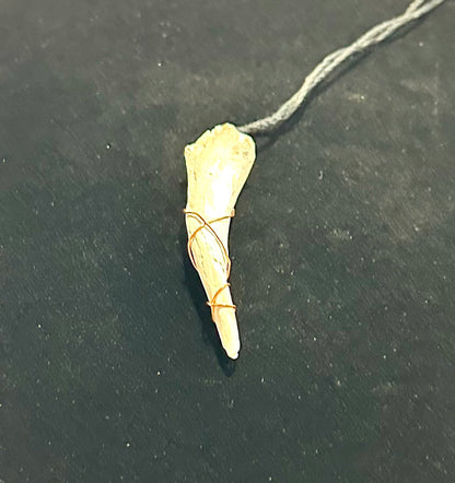 Conch Shell Center Necklace