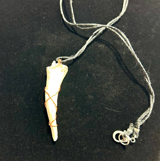 Conch Shell Center Necklace